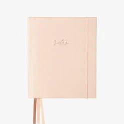 Emma Kate 2022 Pink Ballet Slipper Daily Desk Planner