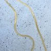 Silver Linings Axel Snake Chain Gold Necklace Accessories