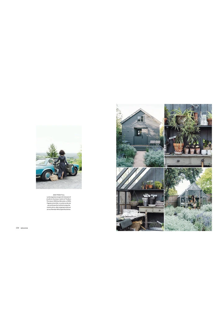 Flying Kiwi Curate Inspiration For An Individual Home 6 Flying Kiwi Curate Inspiration For An Individual Home