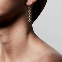 Pilgrim Accessories Tessa Preciosa Crystals On Linked Hanging Small Silver Circles Hook Earrings