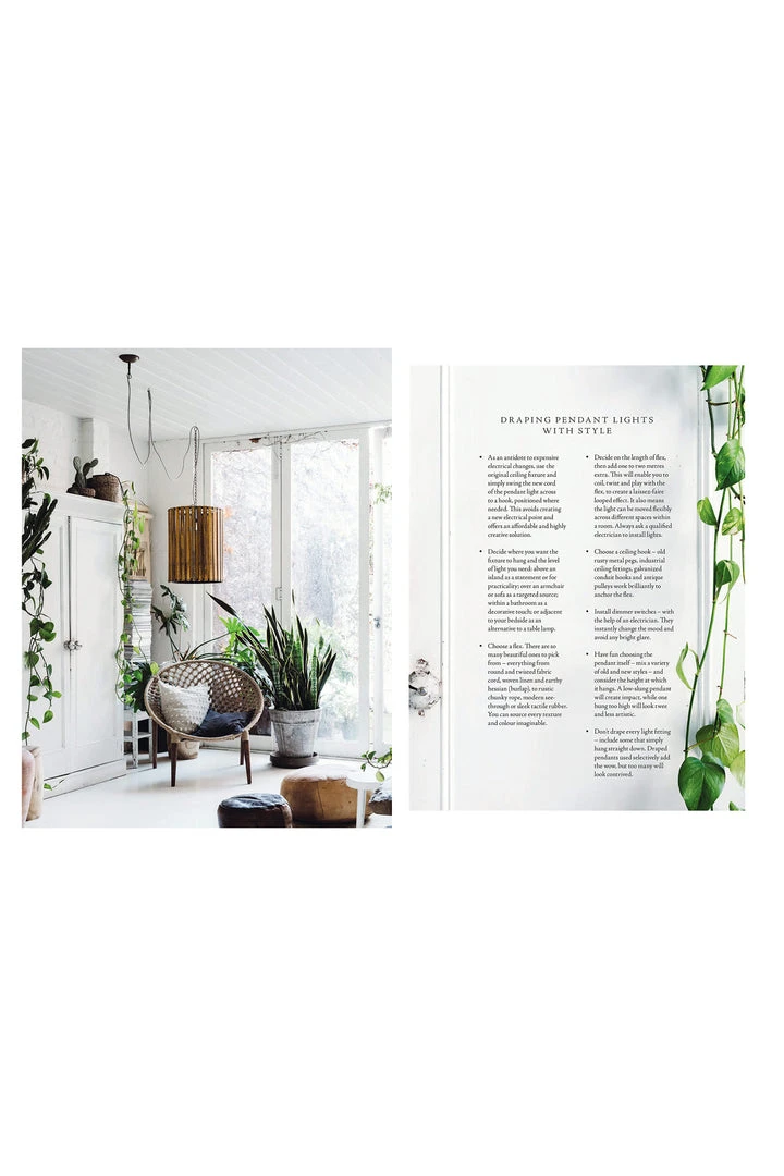 Flying Kiwi Curate Inspiration For An Individual Home 5 Flying Kiwi Curate Inspiration For An Individual Home