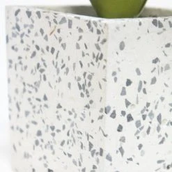 Robert Mark Living & Decor Bromelioideae In Grey Terrazzo Pot 20x8cm