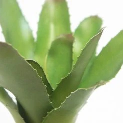 Robert Mark Living & Decor Bromelioideae In Grey Terrazzo Pot 20x8cm