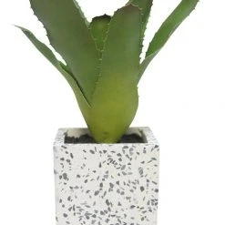 Robert Mark Living & Decor Bromelioideae In Grey Terrazzo Pot 20x8cm