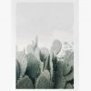 Papier HQ In The Desert Cacti White Framed A2 Print 1 Papier HQ In The Desert Cacti White Framed A2 Print