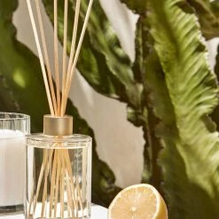 Circa Home CH Pear + Lime Diffuser 250ml