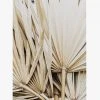 Papier HQ Dried Palm Leaves Natural Print Natural Frame A1 Print Living & Decor