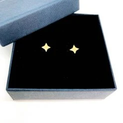Audrey Loves Ruby Accessories Star Stud Earring