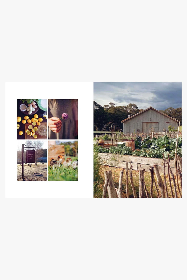 Publishers Distribution Future Steading 6 Publishers Distribution Future Steading