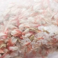 The Raw By Jess Fizzy Bath Salt Globe Amaranth