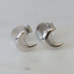 Sophie Accessories Luna Lover Sleeper Earrings Silver