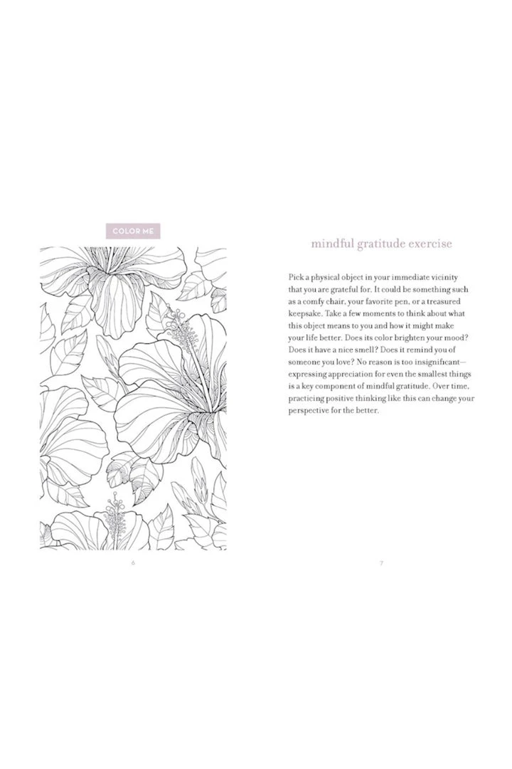 Flying Kiwi Take Care: Inspired Activities For Gratitude 6 Flying Kiwi Take Care: Inspired Activities For Gratitude