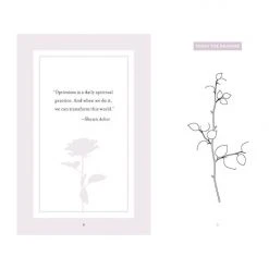 Flying Kiwi Take Care: Inspired Activities For Gratitude 11 Flying Kiwi Take Care: Inspired Activities For Gratitude