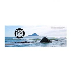 Publishers Distribution Gifts For Him The South Seas NZ Best Surf