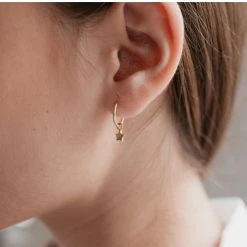 Sophie Twinkle Star Sleeper Earrings Gold