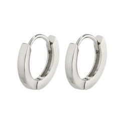 Pilgrim Accessories Arnelle Mini Silver Plated Hoop Huggy Earrings