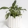 NED Collections Living & Decor White Alto Ribbed Vase