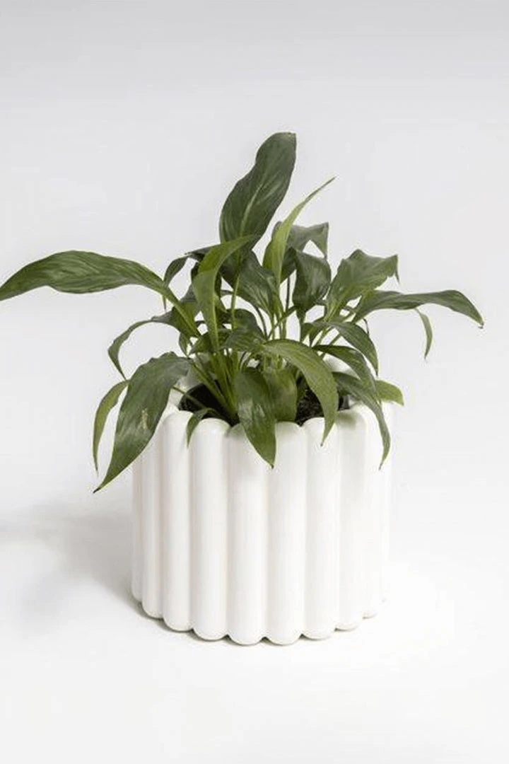 NED Collections Living & Decor White Alto Ribbed Vase 3 NED Collections Living & Decor White Alto Ribbed Vase