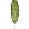 Chiba Enterprises Living & Decor Long Banana Leaf
