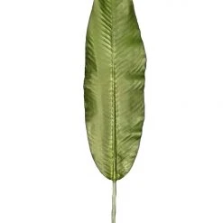 Chiba Enterprises Living & Decor Long Banana Leaf