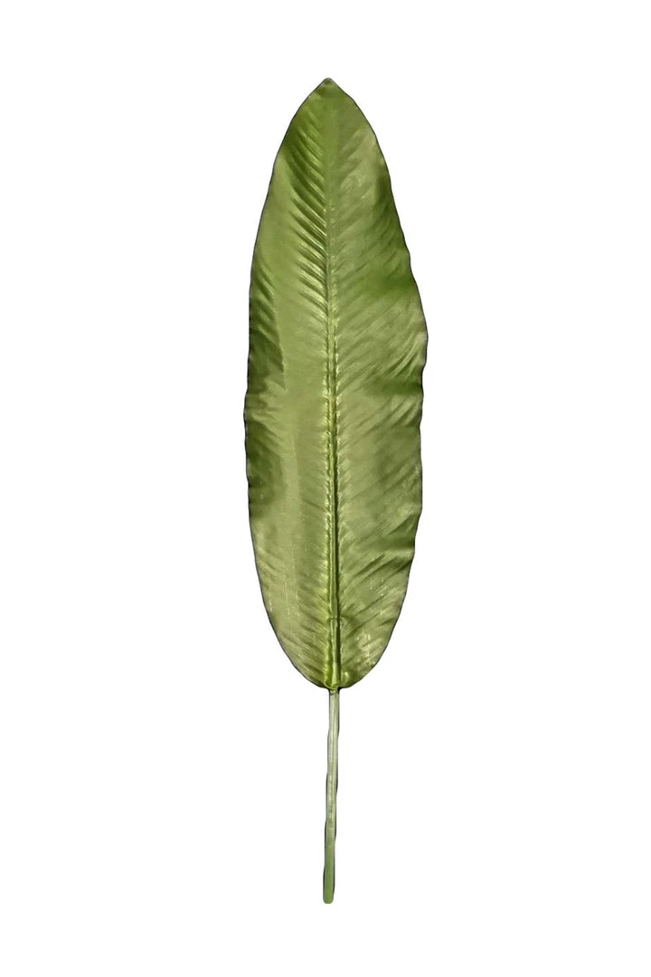 Chiba Enterprises Living & Decor Long Banana Leaf 3 Chiba Enterprises Living & Decor Long Banana Leaf