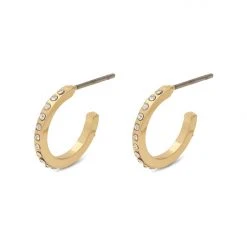 Pilgrim Accessories Roberta Pi Gold Plated Crystal 12mm Earrings