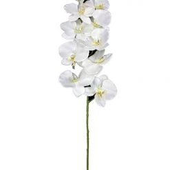 Chiba Enterprises Single White Orchid Stem