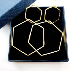 Audrey Loves Ruby Hexagon 2 Piece Earring Accessories