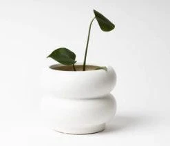NED Collections Hazy White Medium Pot Support Local Gifts