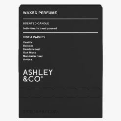 Ashley+Co Natural Waxed Vine + Paisley Perfume Candle Home & Beauty