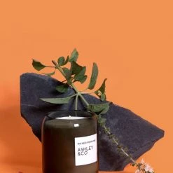 Ashley+Co Natural Waxed Vine + Paisley Perfume Candle Home & Beauty