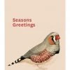 Father Rabbit Support Local Gifts Seasons Greetings Pink Xmas Gift Tag